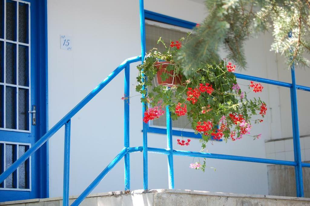 Комплекс Белите Къщи Shtarkelovo Gnezdo Esterno foto