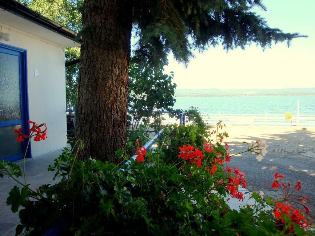 Комплекс Белите Къщи Shtarkelovo Gnezdo Esterno foto