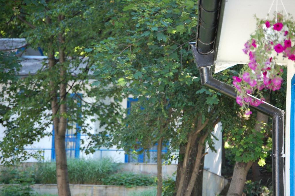 Комплекс Белите Къщи Shtarkelovo Gnezdo Esterno foto